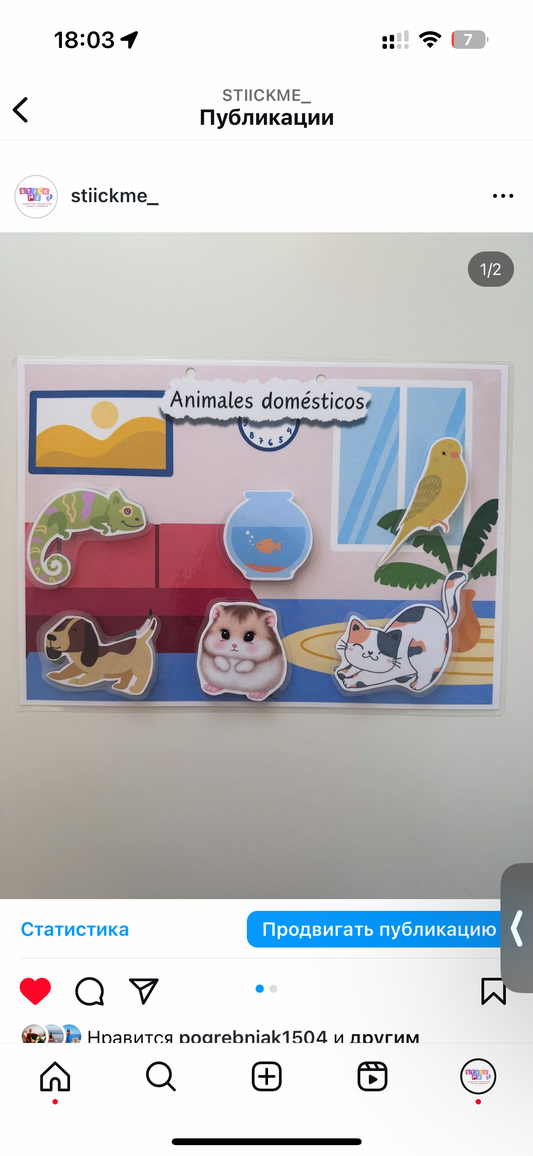 Animales domésticos